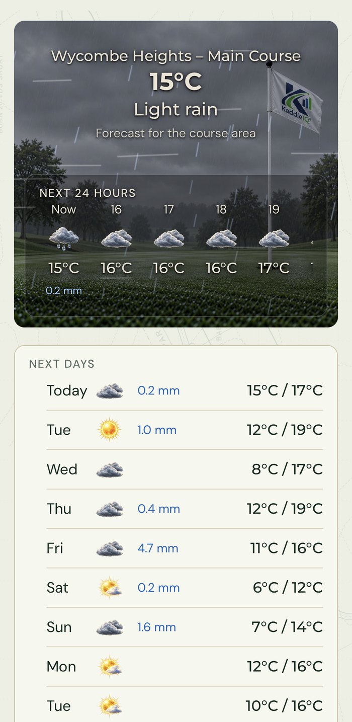 The Weather page in light mode: a picture of the conditions, the next 24 hours, and a table for the next days